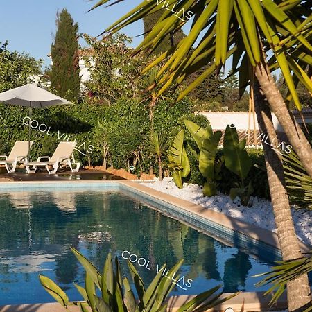 Villa Gardenia - Sea View, Wifi, Games Room Albufeira Eksteriør billede